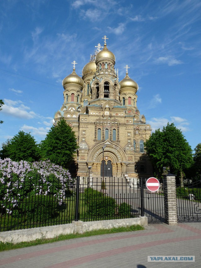 Свежая подборка прикольных картинок