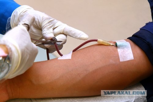 Новый закон о донорстве крови