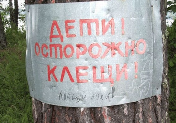ВЫВЕСКИ, ТАБЛИЧКИ. Смешные и прикольные