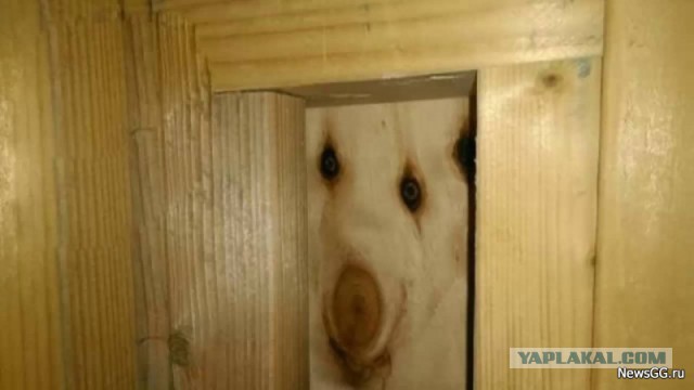 С такими защитниками можно спать спокойно
