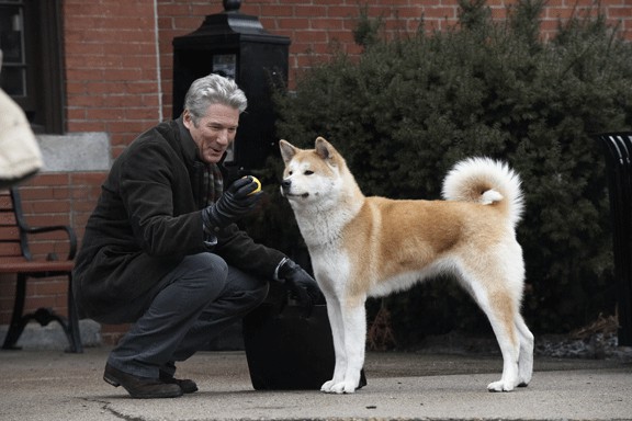 Путин показал японским журналистам Юмэ — «строгую собаку», подаренную ему Японией в 2012 году