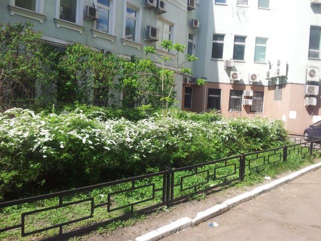 Фотопутешествие по летней Москве