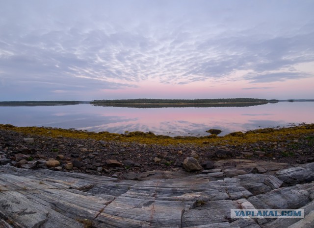 Карелия. Белое море.
