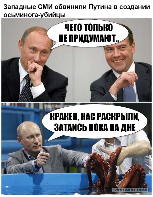 Ученые решили, что осьминоги имеют инопланетное происхождение.