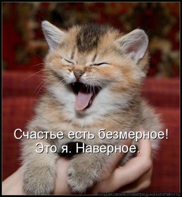 Подборка забавных животных