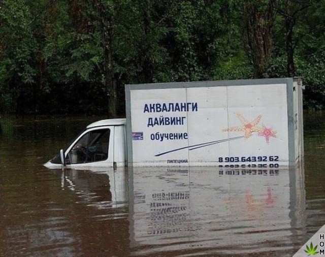 Смешные картинки