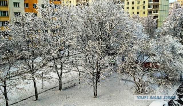 Шёл 10 день декабря...