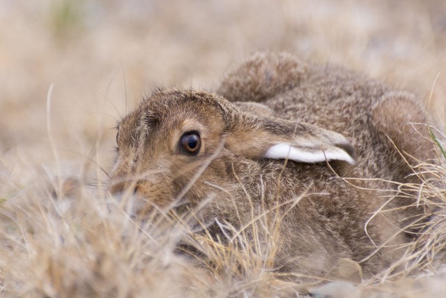 Просто Природа