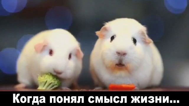 Название темы