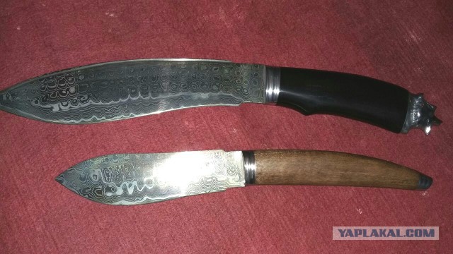 Продам Пчаки