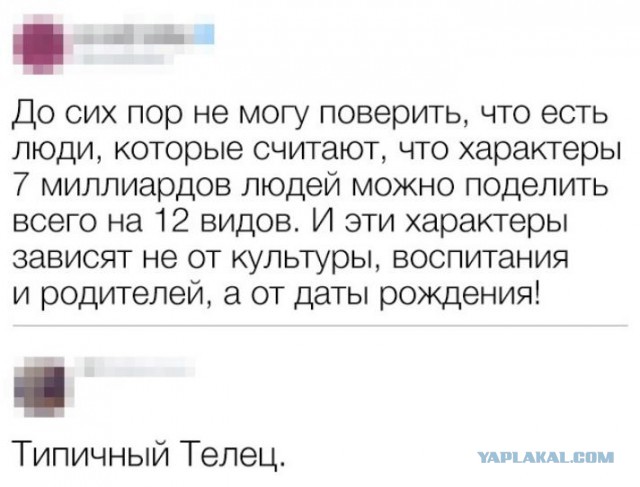 Язвительные пользователи сети, без которых интернет потерял бы свой шарм