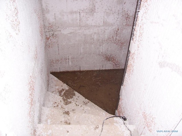 Тихий пруд... внутри дома!