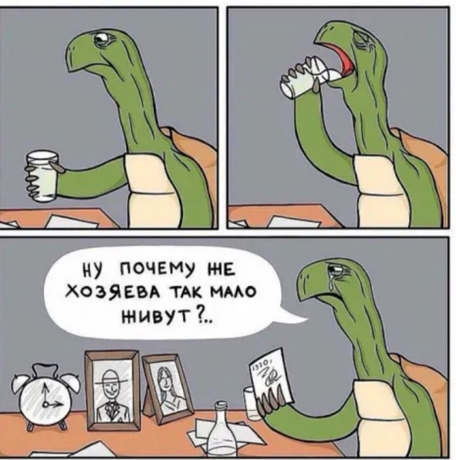 Бредзона 14.12.20