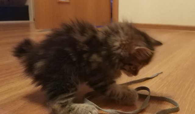Вот и меня взяли в рабство
