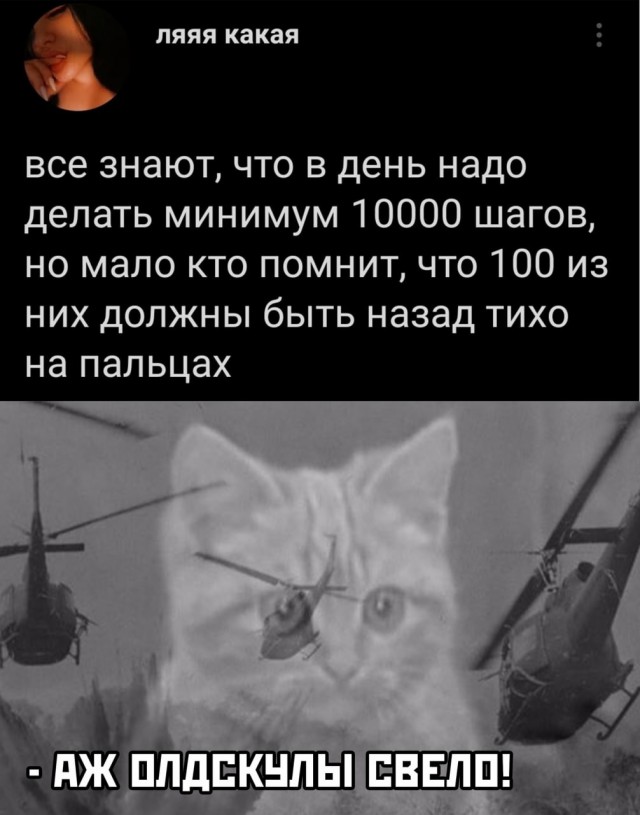 Картинки из рабочего чата 03.09.2021