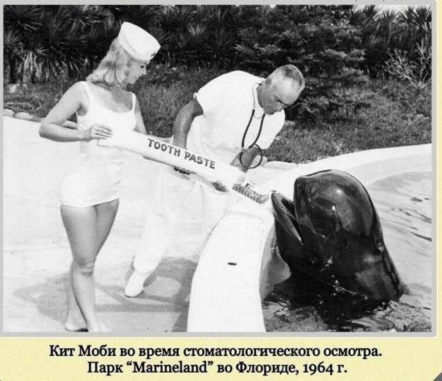 Фотографии с богатым историческим прошлым