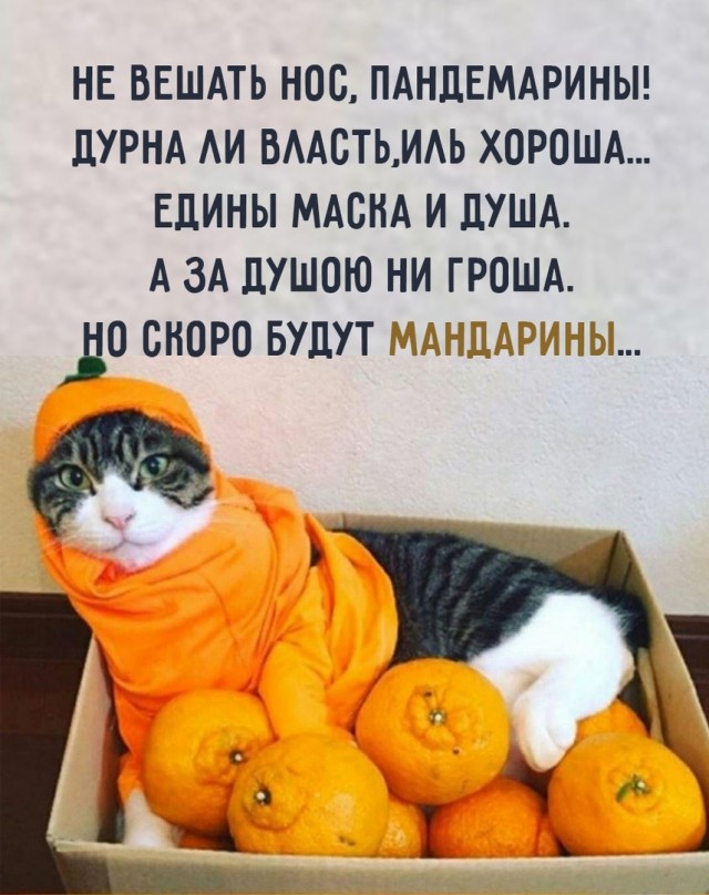 Так себе картинки 06.12.21