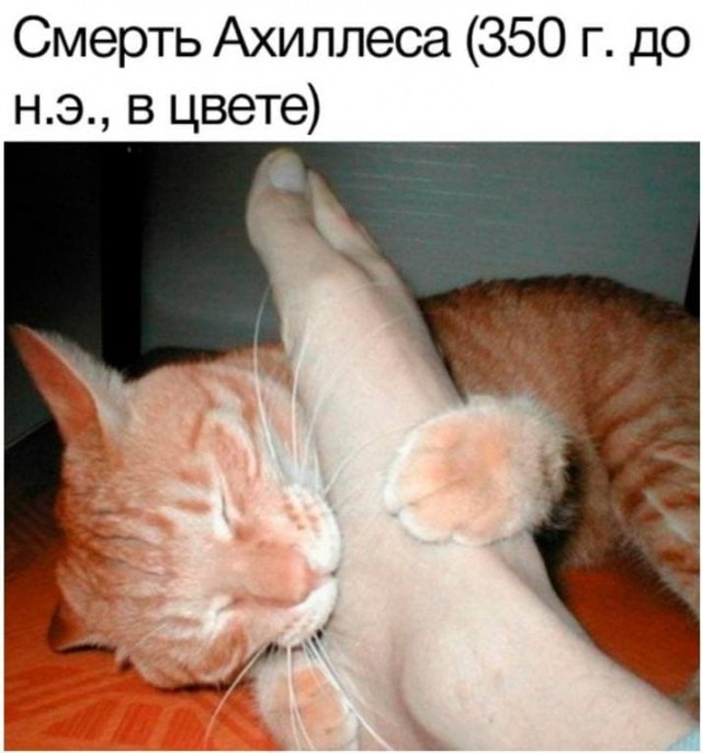 Всякой Хни вам в ленту, дорогие деграданты...