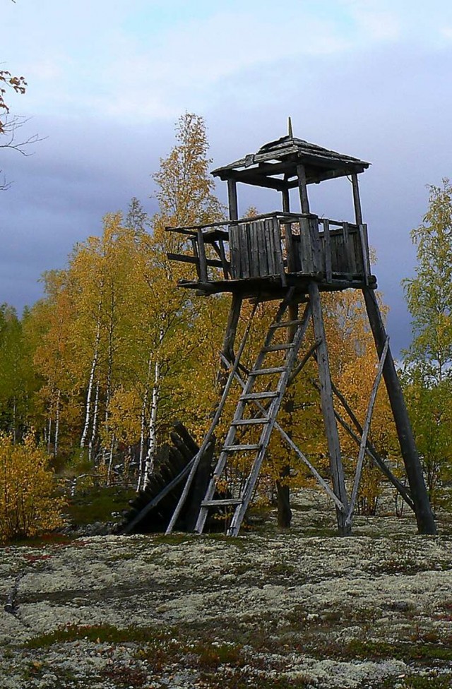 По тундре, по железной дороге…