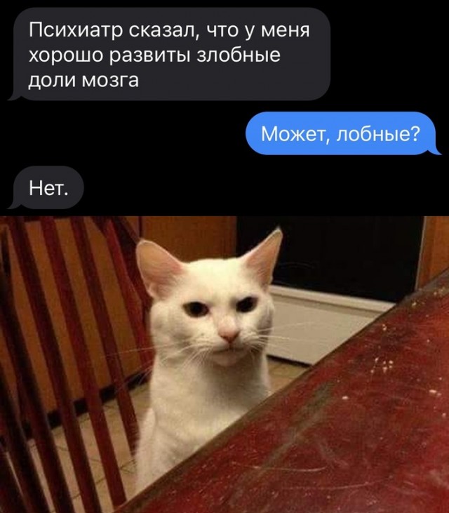 Картинки и мемы для настроения - 19