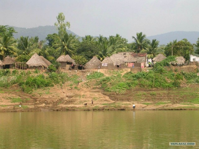 Индия 2007 - 2008 г.