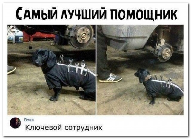 Забавные комментарии из социальных сетей (05.09.22)