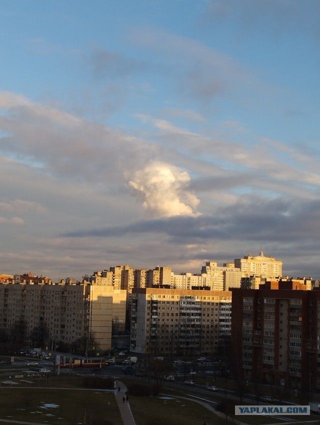 В Ленинградской области взорвался газопровод. Пламя видно из Петербурга