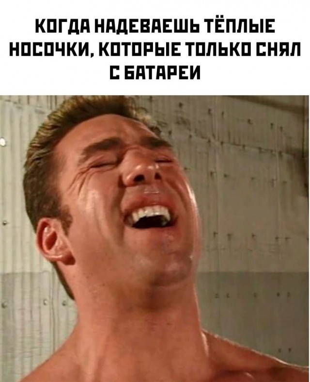 Картинок пост 1.11.2023