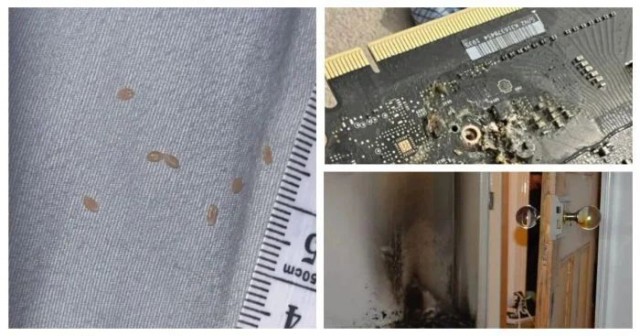 25 примеров, когда день не задался