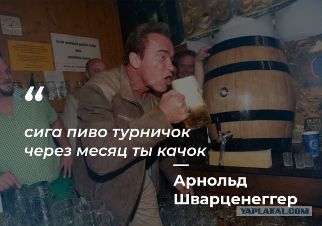 Разножанровые картинки. Без определённого смысла