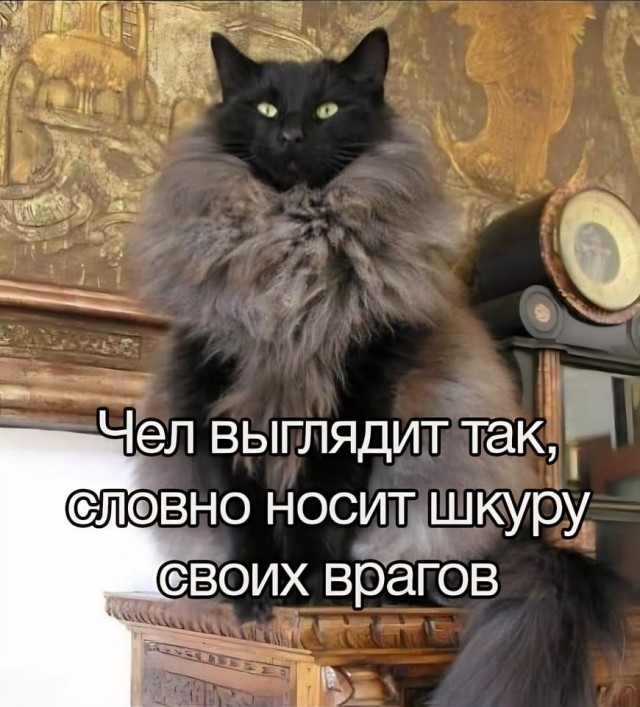 Так себе картинки 09.04.24