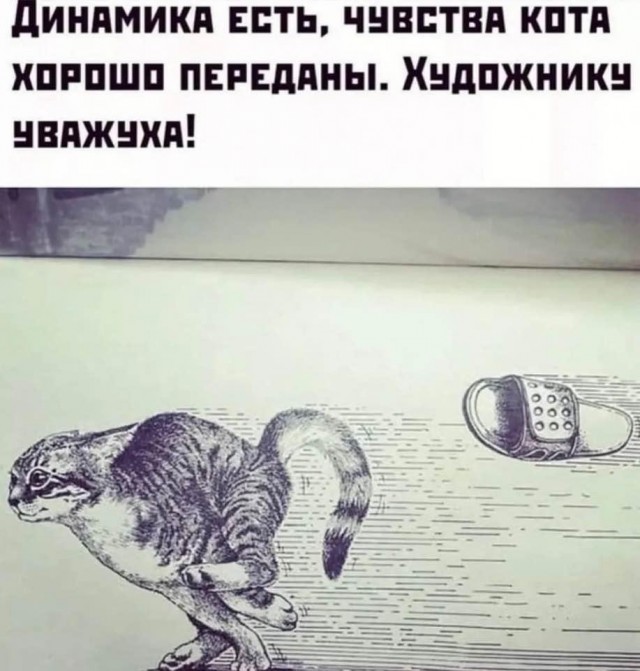 А морда довольная-довольная