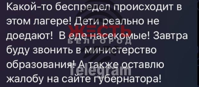 «Оставались бы дома. Что вы вообще сюда приехали?»