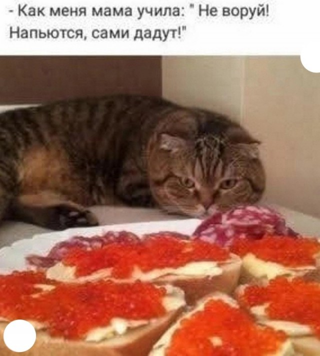 Картинки разные с надписями и без