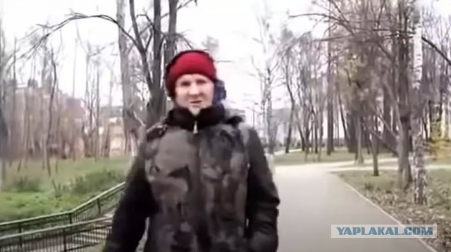 Сова прилетела