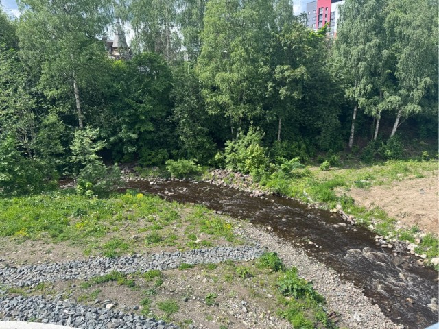 Воздух Карелии.