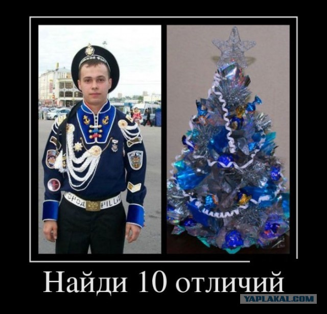 Зверев vs. дембель