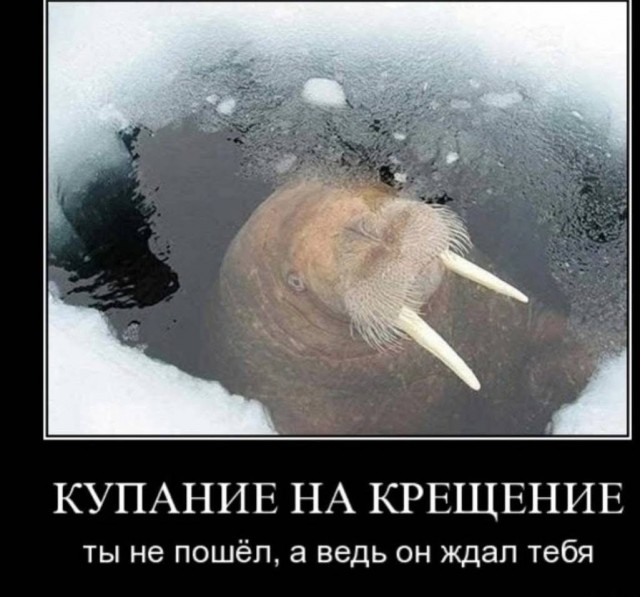 Пятничные картинки