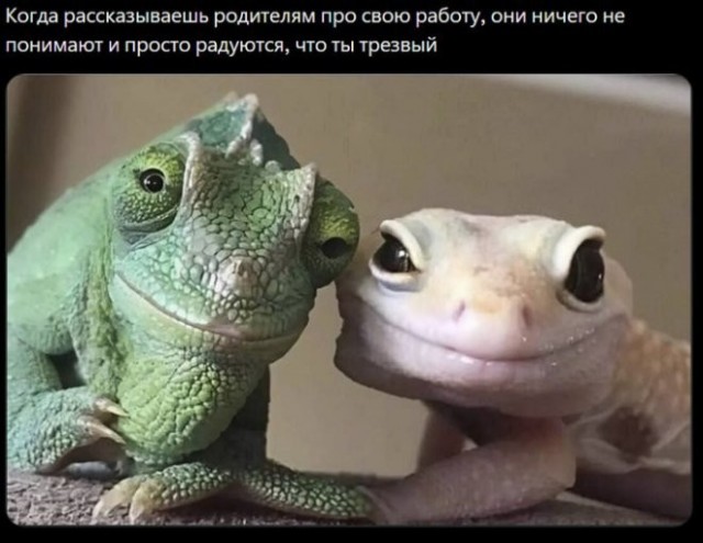 Картиночки, баянчики 11 мая