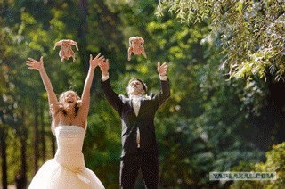 Почему все на свадьбу запускают голубей?
