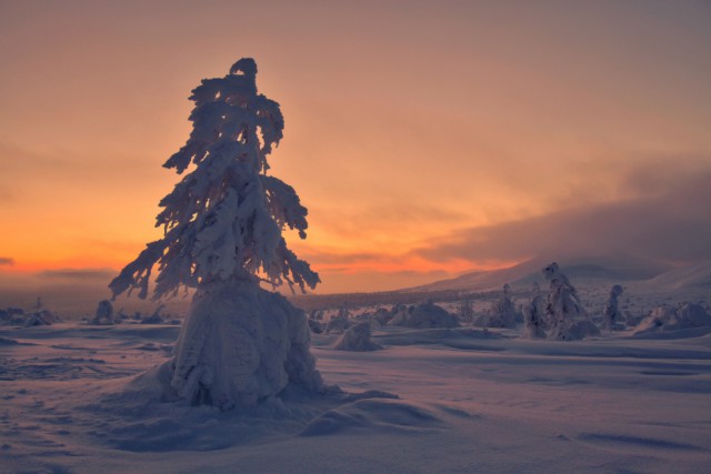 National Geographic,избранное...