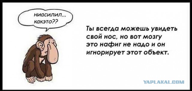 Интересные факты о разном