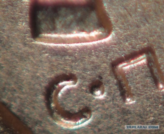 Победители конкурса микрофотографии