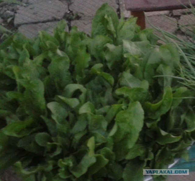 Эта не плов, это вкуснее.
