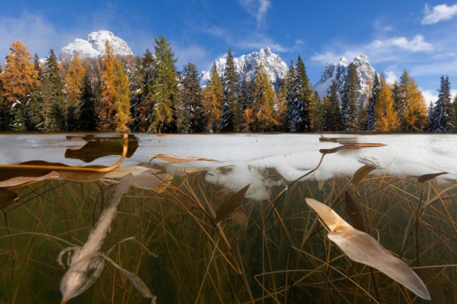 80 поразительных фотографий,