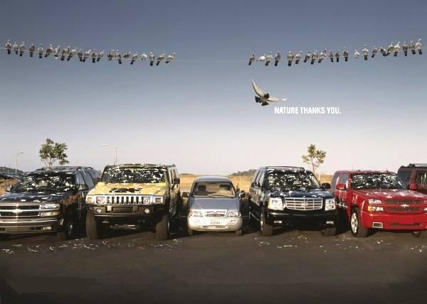 Птицы загадили все тачки кроме одной!