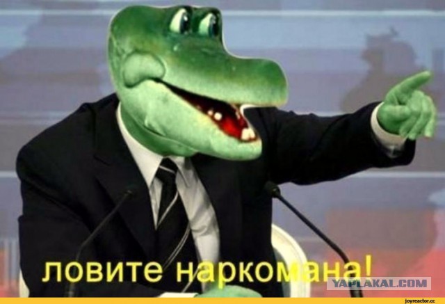 Что может происходить рядом с вами, в данную минут