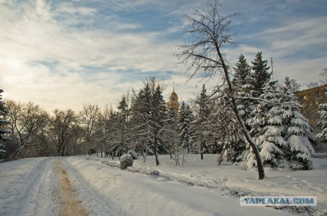 Немного моих фото, авторское