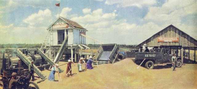 Горячее лето 1953 года