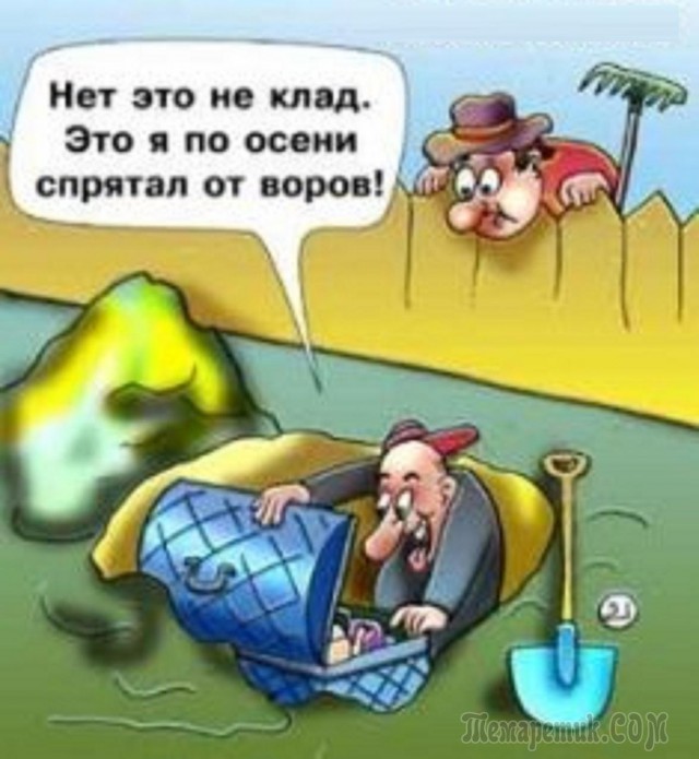 Охранник дачи. История из жизни